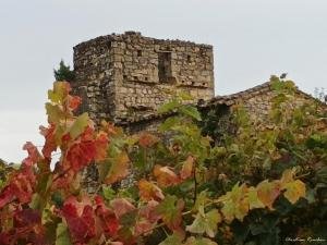 243424583_10227943966323861_9036917436185015272_n-1